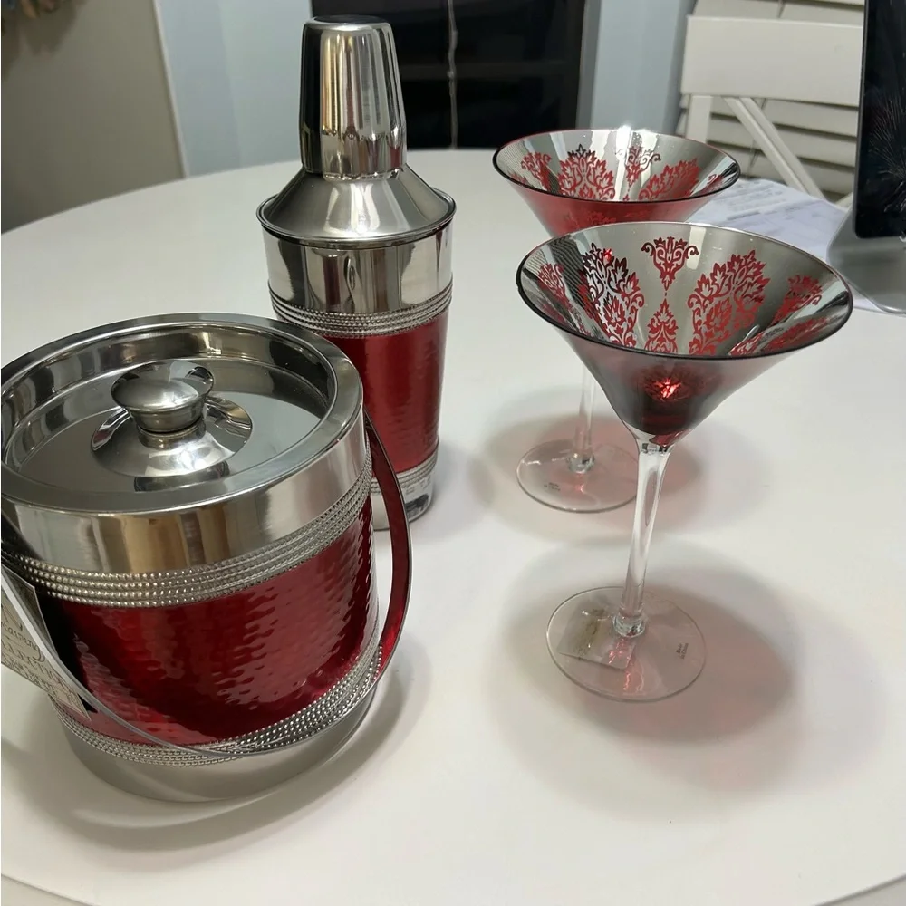 NWT BEAUTIFUL 4 PIECE BARWAR SET  icebucket/shaker/2brocade martini glasses